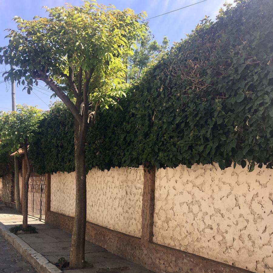 Apartamento Con Jardin Cochabamba Bagian luar foto